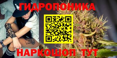 прущие грибы Будённовск