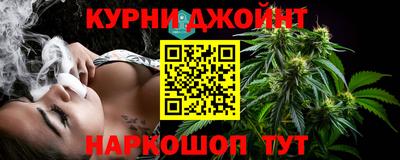 прущие грибы Будённовск