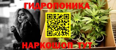 прущие грибы Будённовск