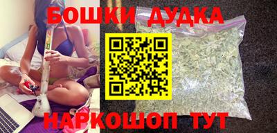 прущие грибы Будённовск