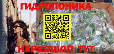 прущие грибы Будённовск